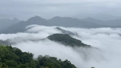 富柿山星空景觀農場